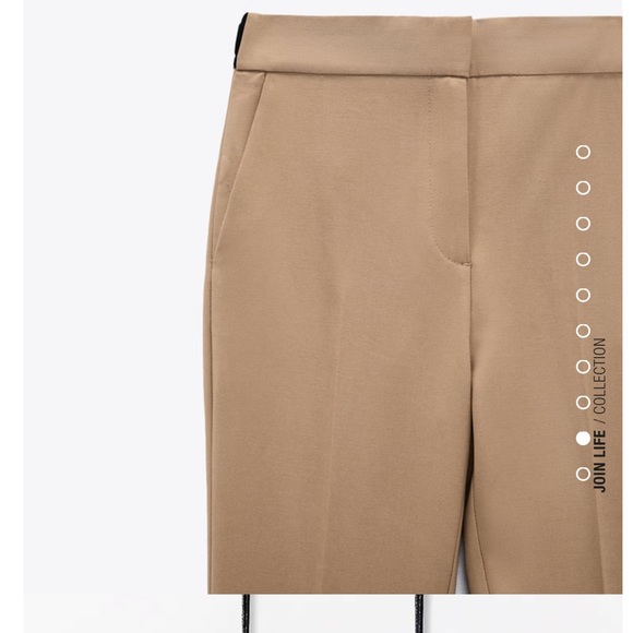 Zara Taupe Brown Pants - Picture 5 of 10